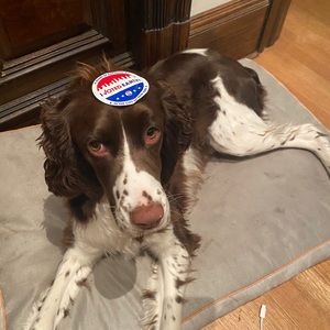 Meet your Posher, Jack